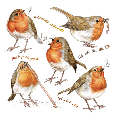 Onderzetter - 38-090 Roodborst collage