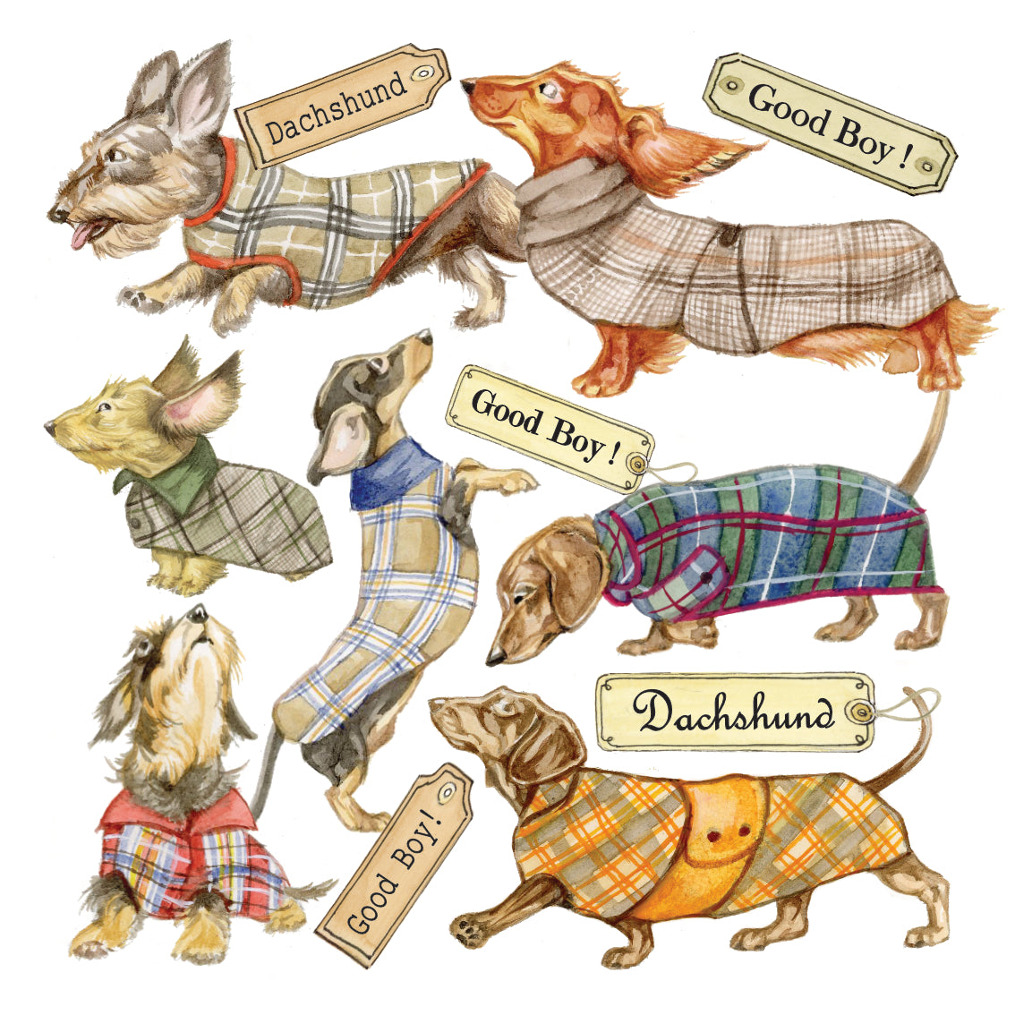 Untersetzer 38-032 - Gartenvögel 4