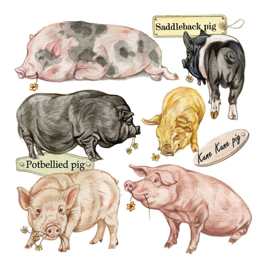 Onderzetter - 38-093 Varkenscollage