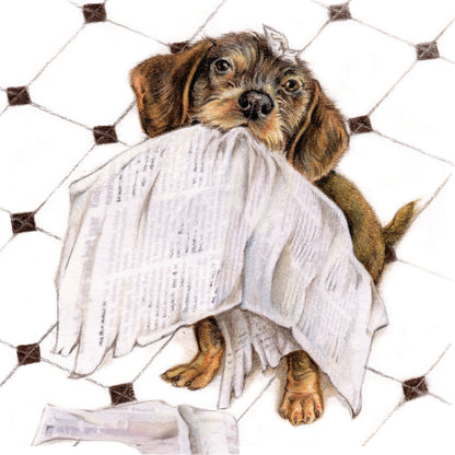 Untersetzer 38-032 - Gartenvögel 4