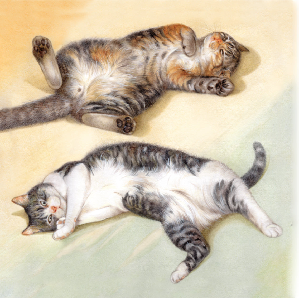 Onderzetter - 38-101  Liggende katten