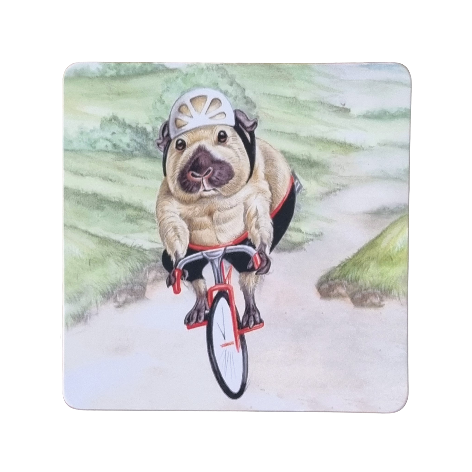 Untersetzer 38-032 - Gartenvögel 4