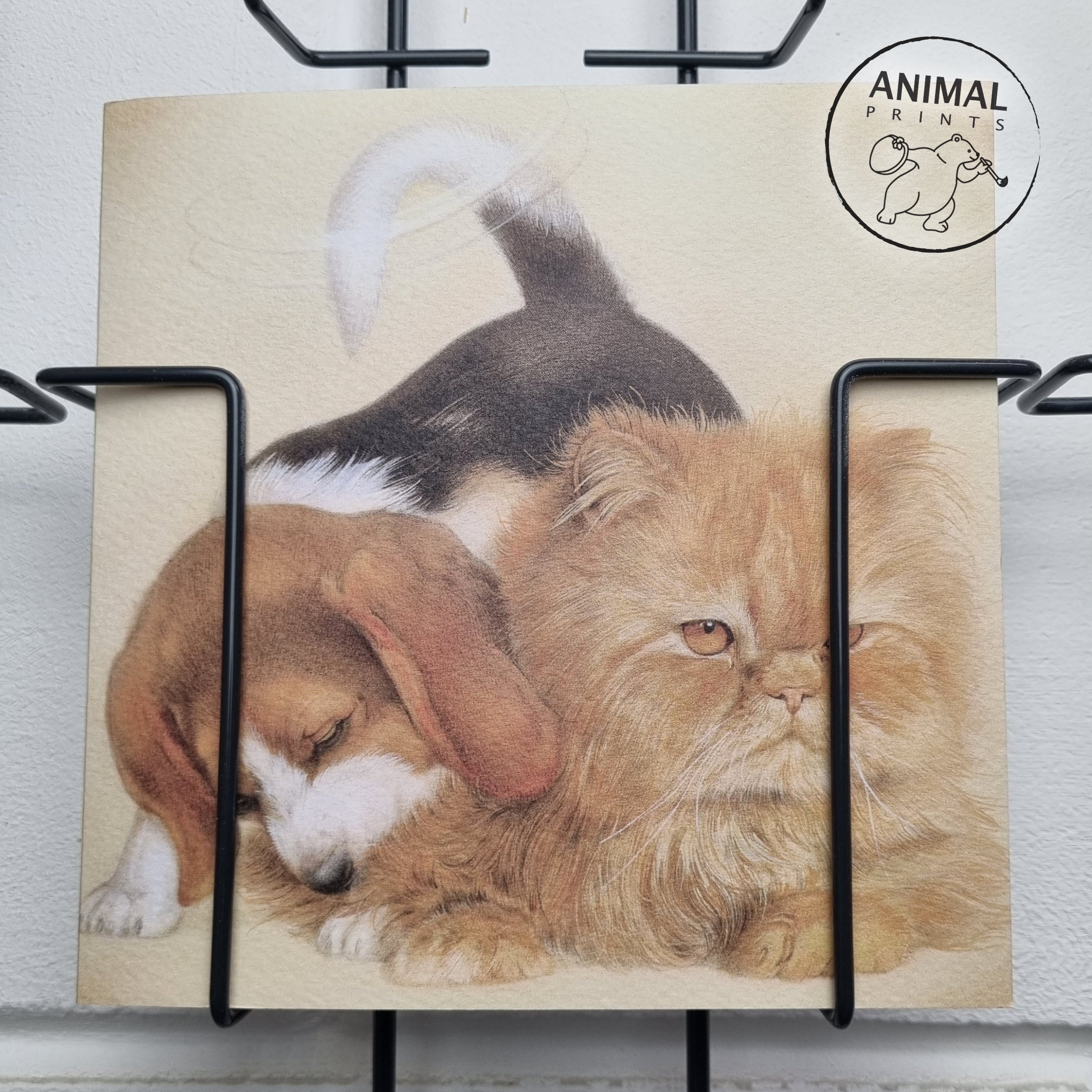 Vierkante kaart - Beagle maakt hof bij Pers