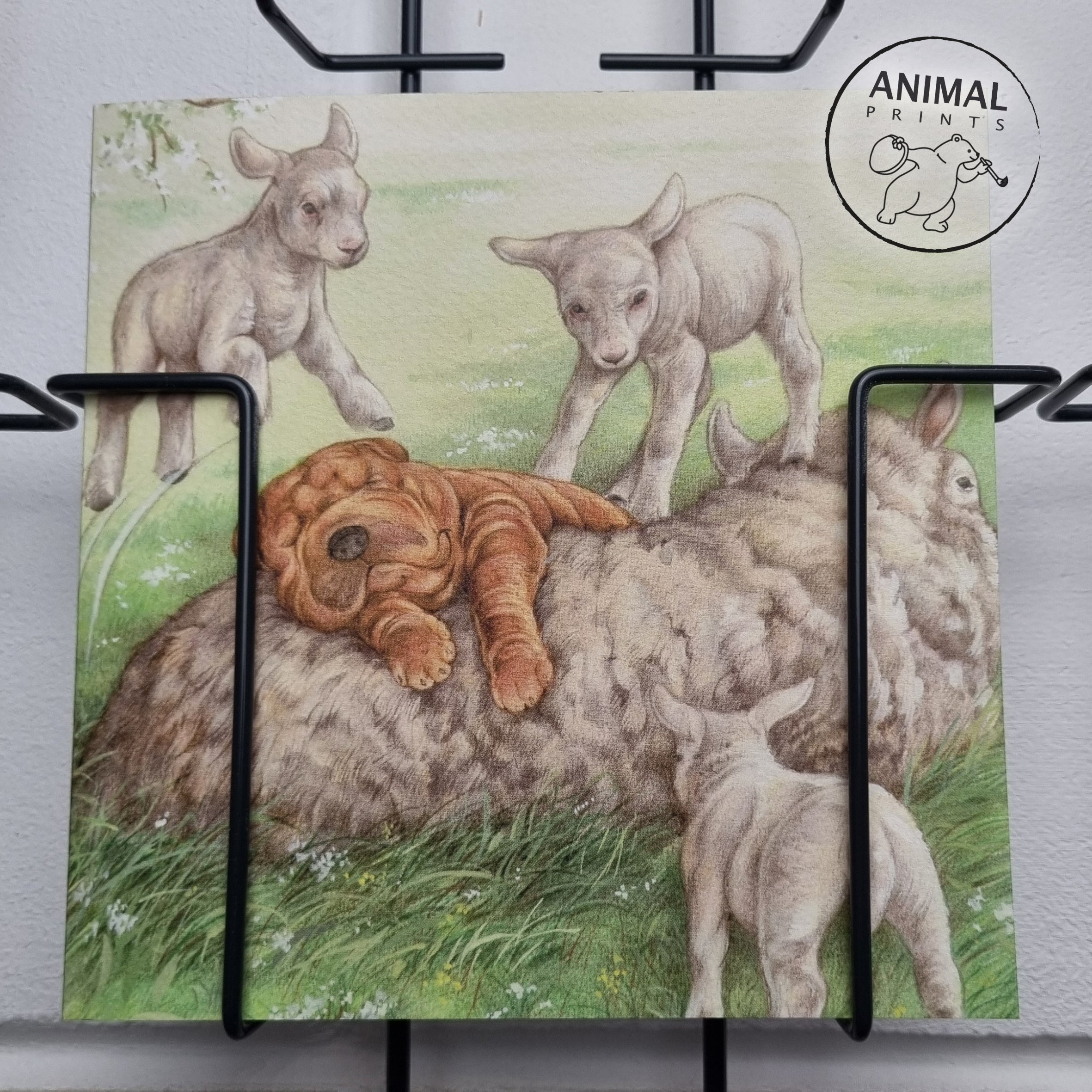 Vierkante kaart - Ligt echt heerlijk zo'n schapenwollen vachtje.