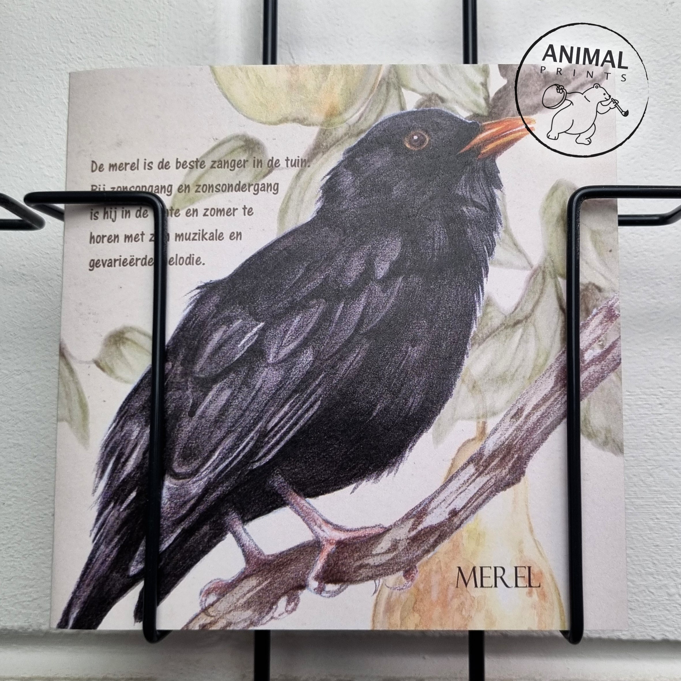 Vierkante kaart - Merel