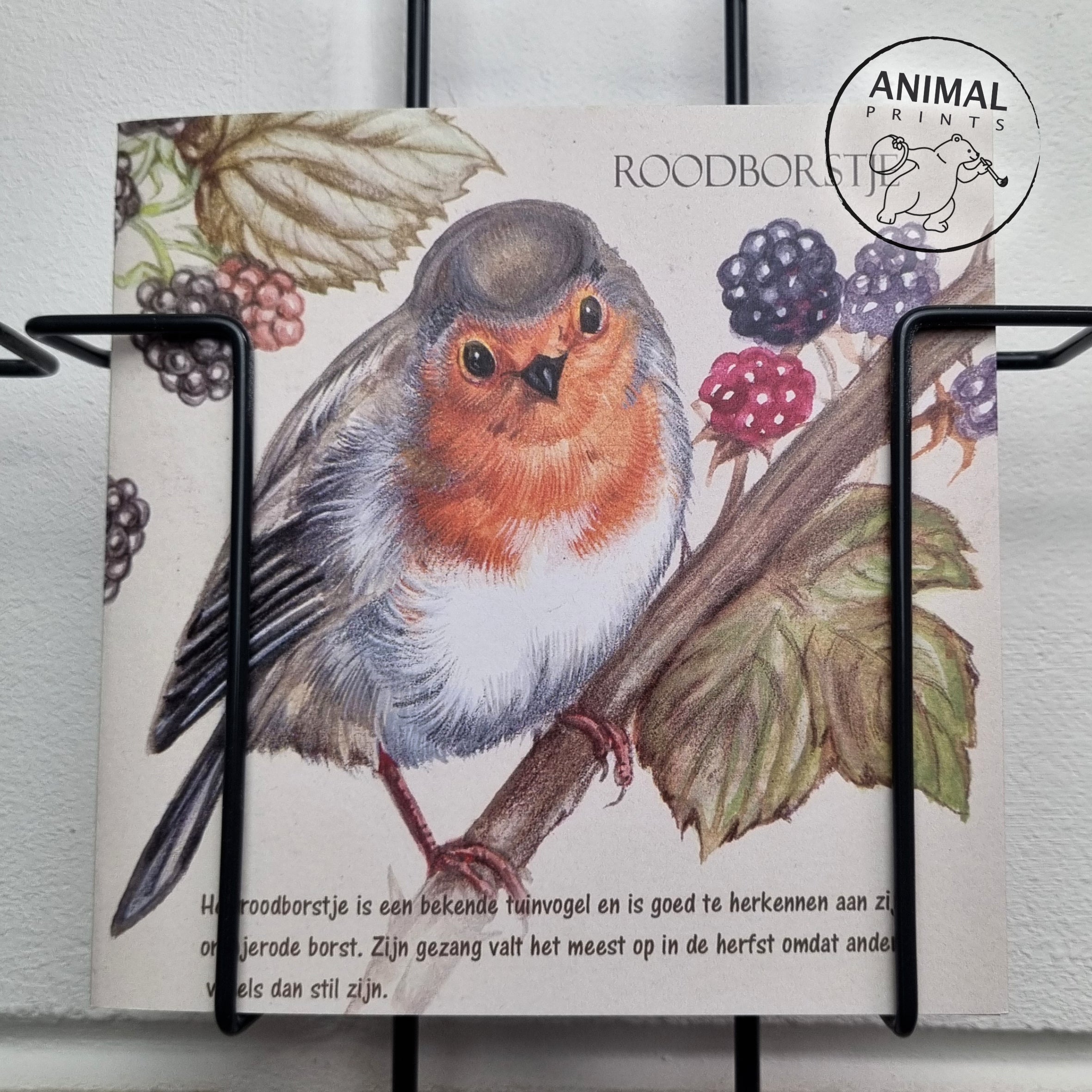 Vierkante kaart - Roodborst