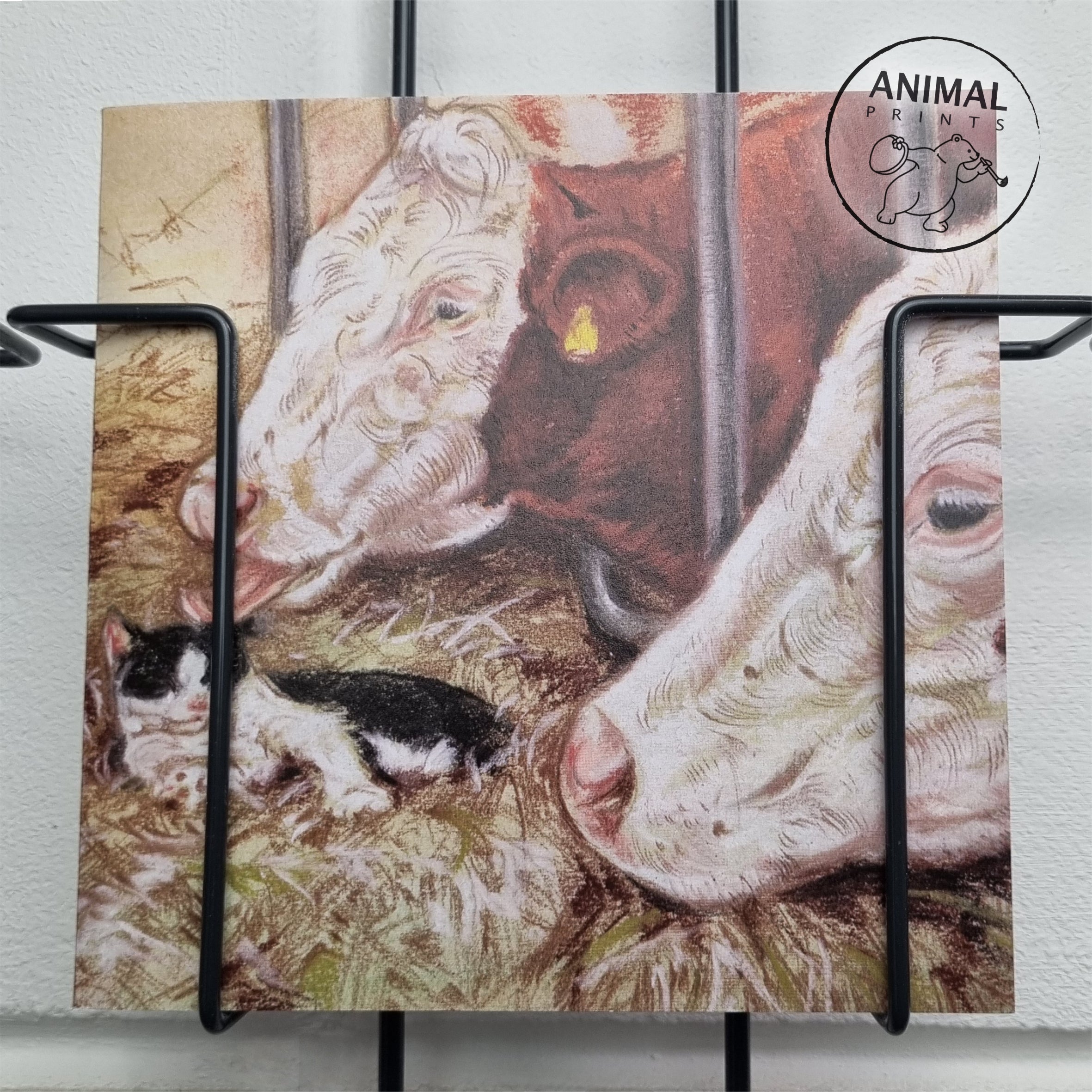 Vierkante kaart - Deze kat heeft vele vrienden