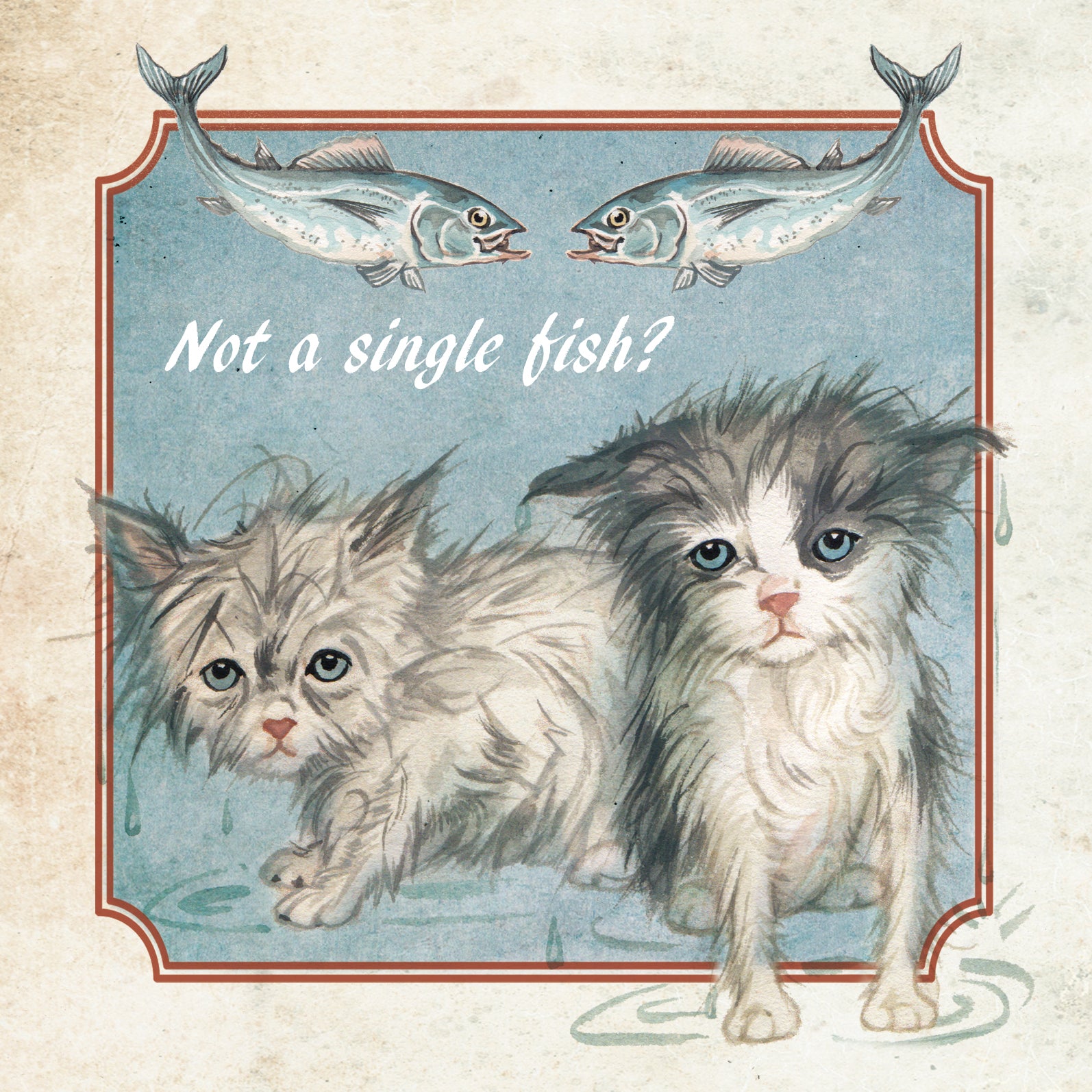 Quadratische Karte - Kein einziger Fisch