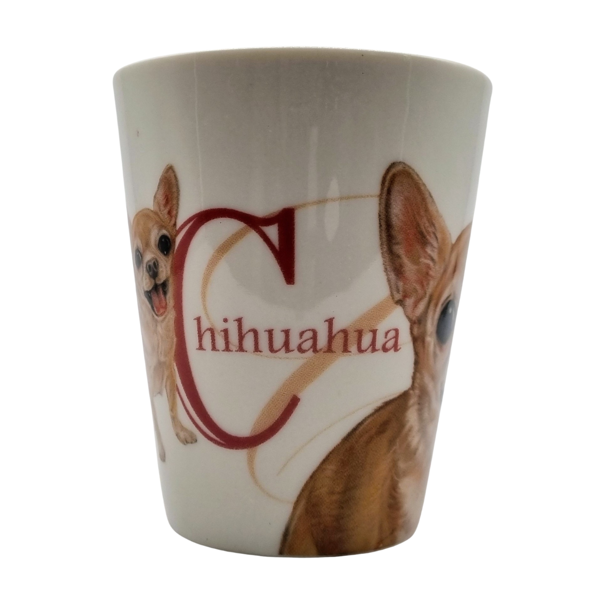 Mok Chihuahua - New collection