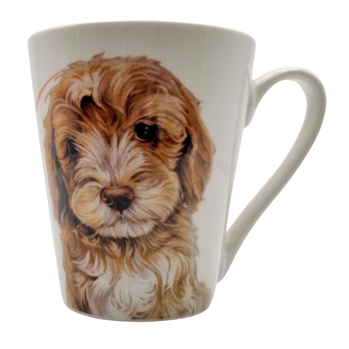 Mok Labradoodle - New collection