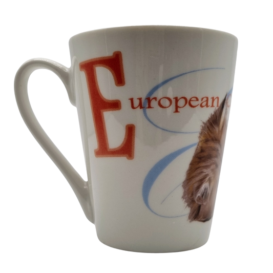 Becher Europäisch Kurzhaar - Neue Kollektion