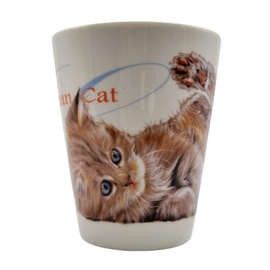 Becher Europäisch Kurzhaar - Neue Kollektion