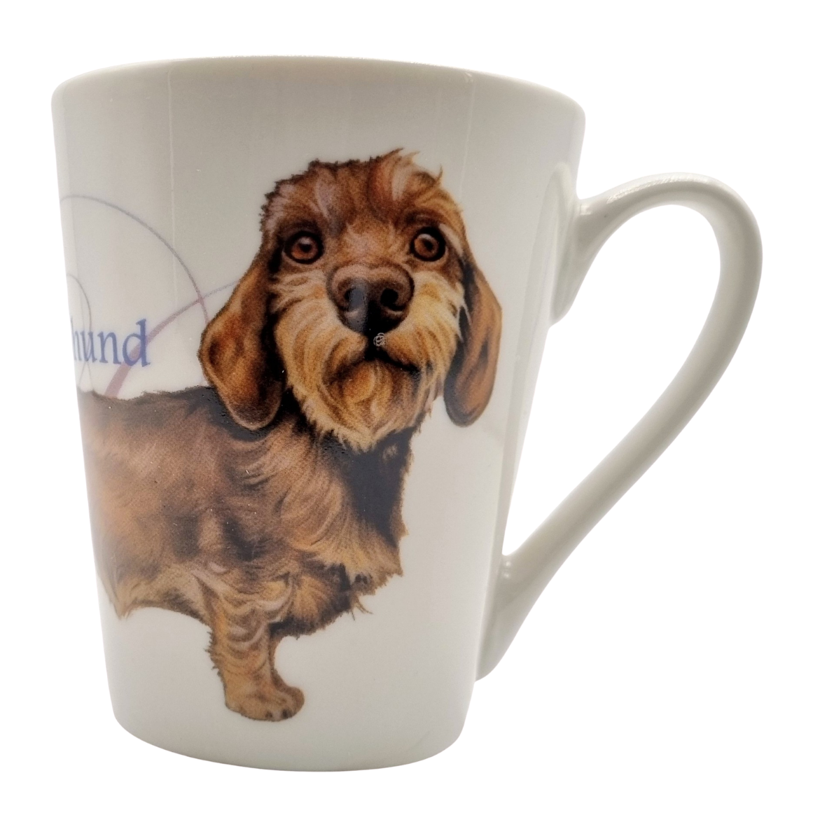 Mok Dachshund - Teckel - New collection