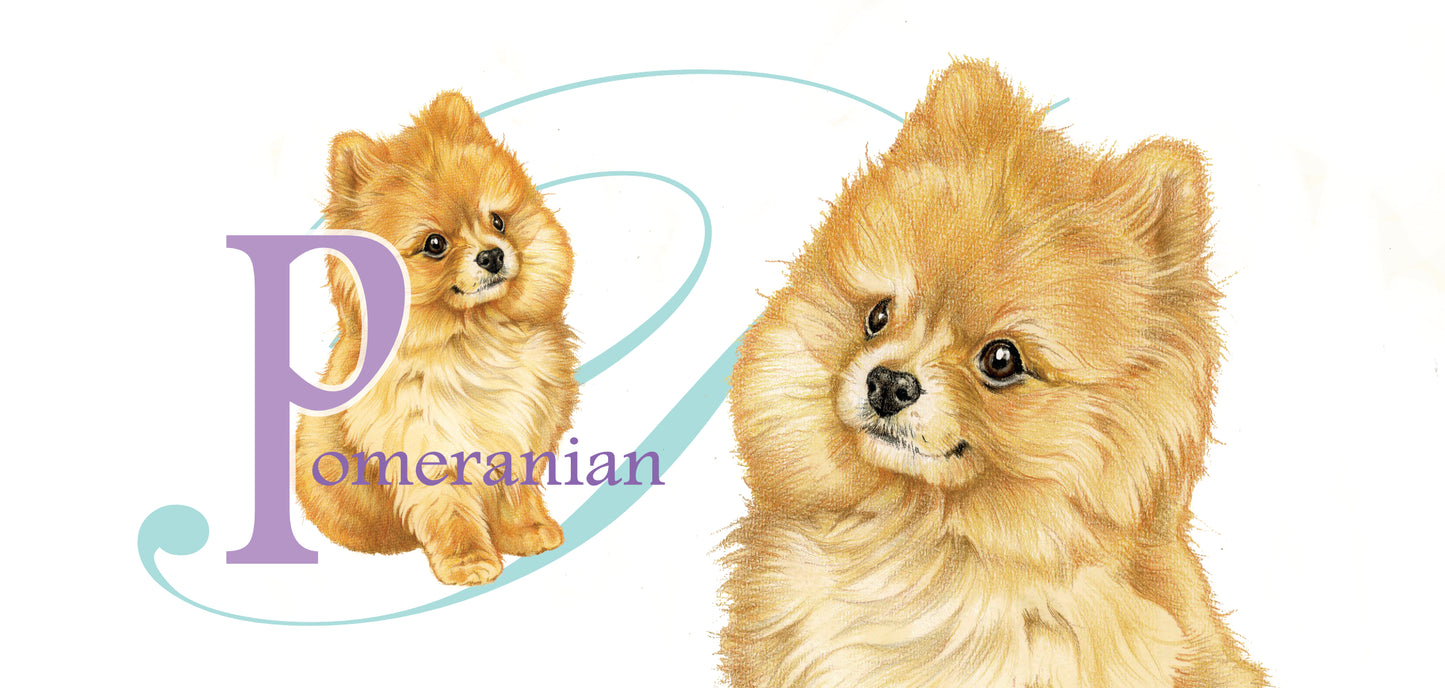 Mok Pomerian - New collection