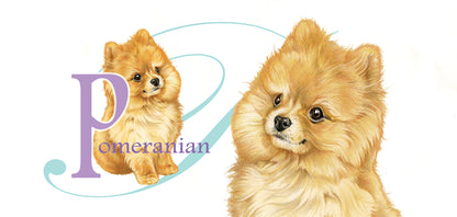 Mok Pomerian - New collection