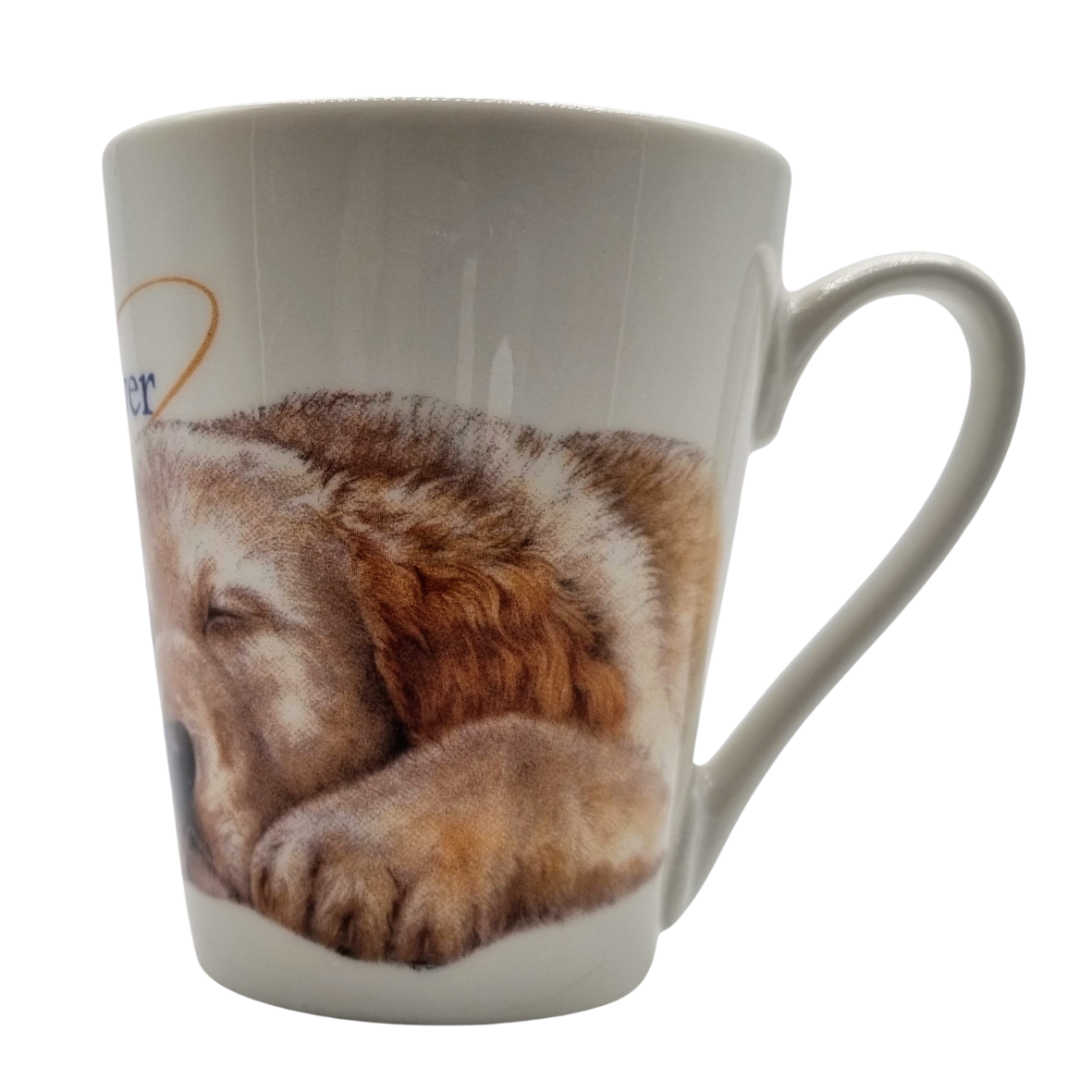 Mok Golden Retriever - New collection