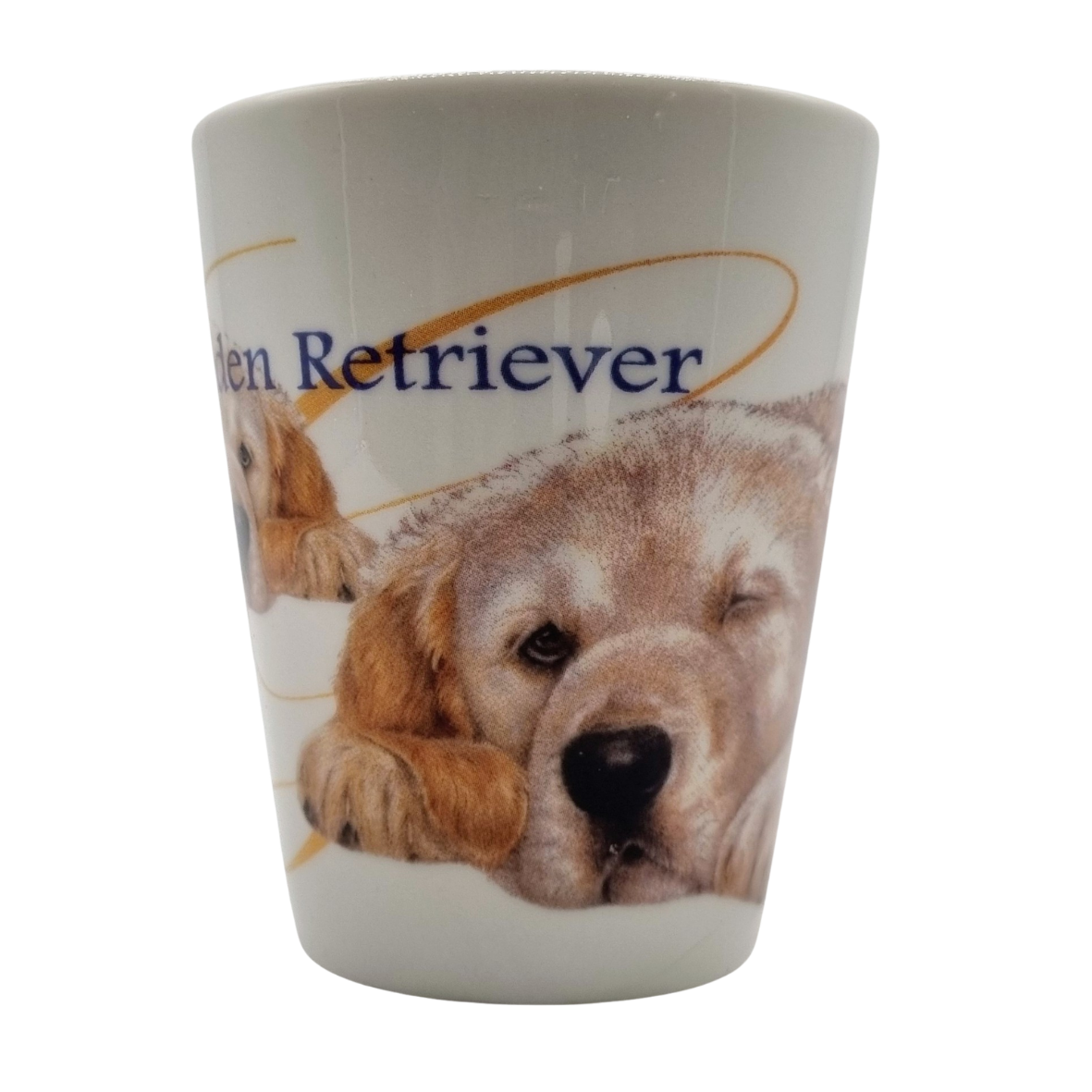 Mok Golden Retriever - New collection