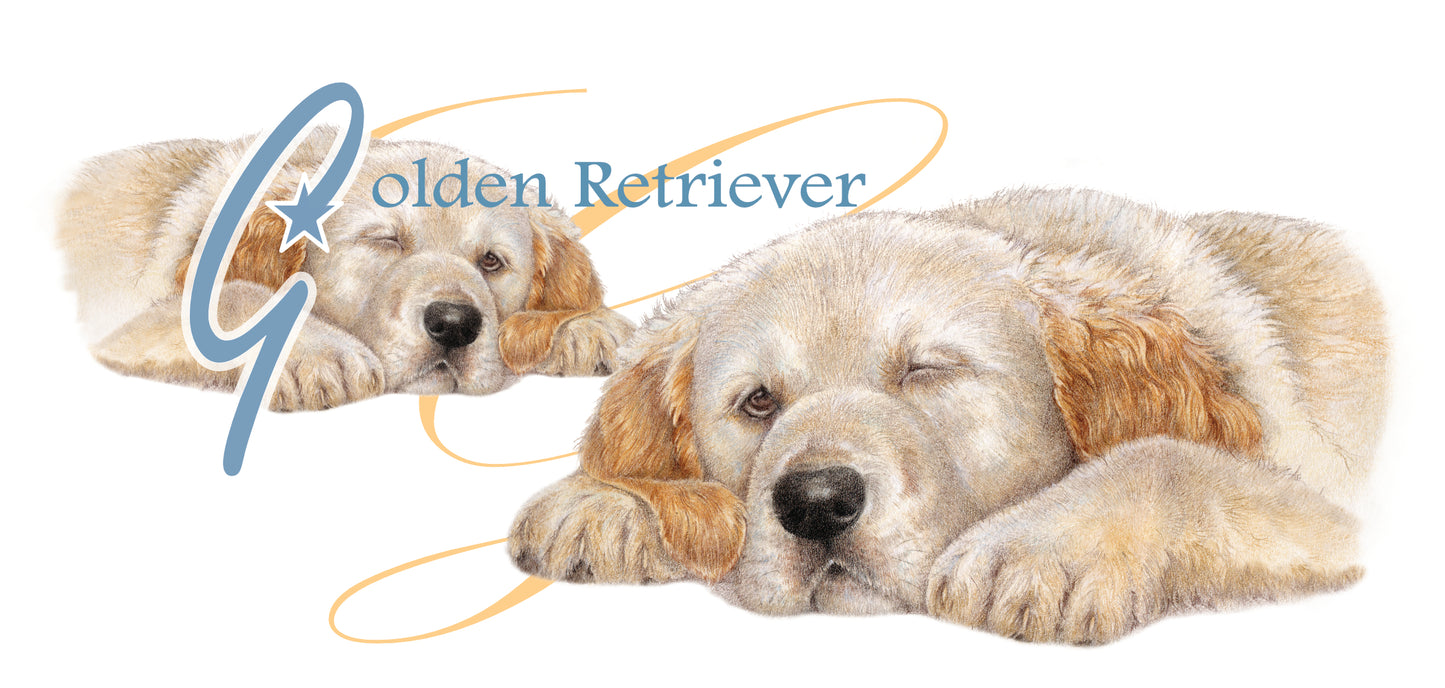 Mok Golden Retriever - New collection