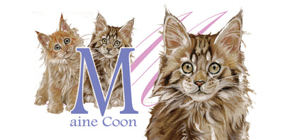Mok Maine Coone - New collection