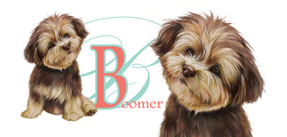 Mok Boomer - New collection