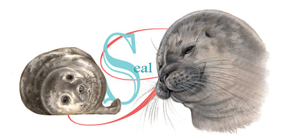 Mok Zeehond - Seal - New collection