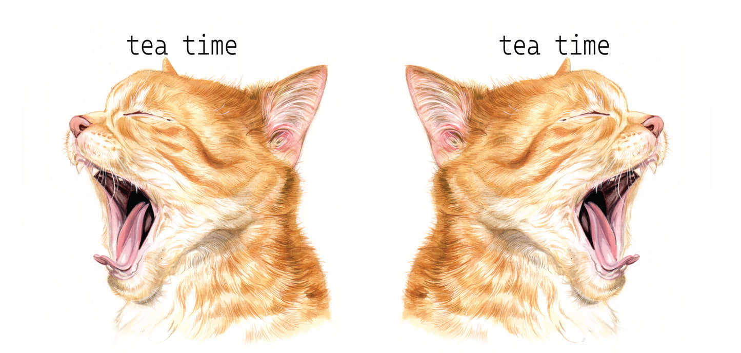 Mok "Tea Time" - New collection