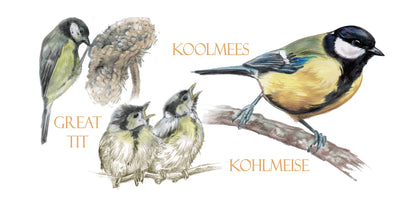 Mok Great Tit / Koolmees - New collection