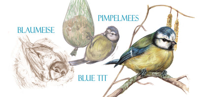 Mok Blue Tit - Blauwe Mees - New collection