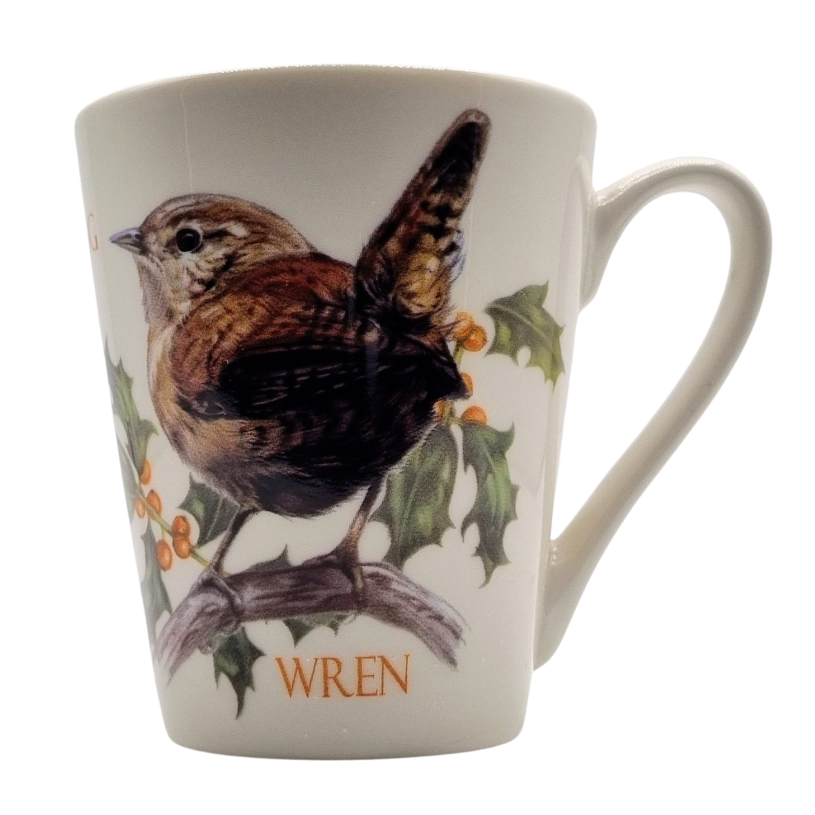 Mok Wren / Winterkoninkje - New collection