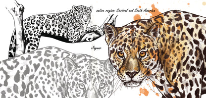 Mokkenserie Wildlife - Jaguar