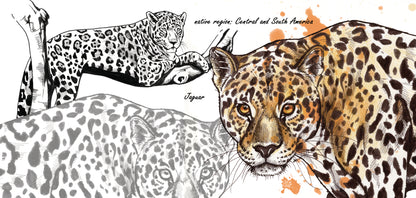 Tassenserie Wildtiere – Jaguar