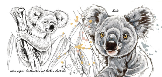 Mokkenserie Wildlife - Koala