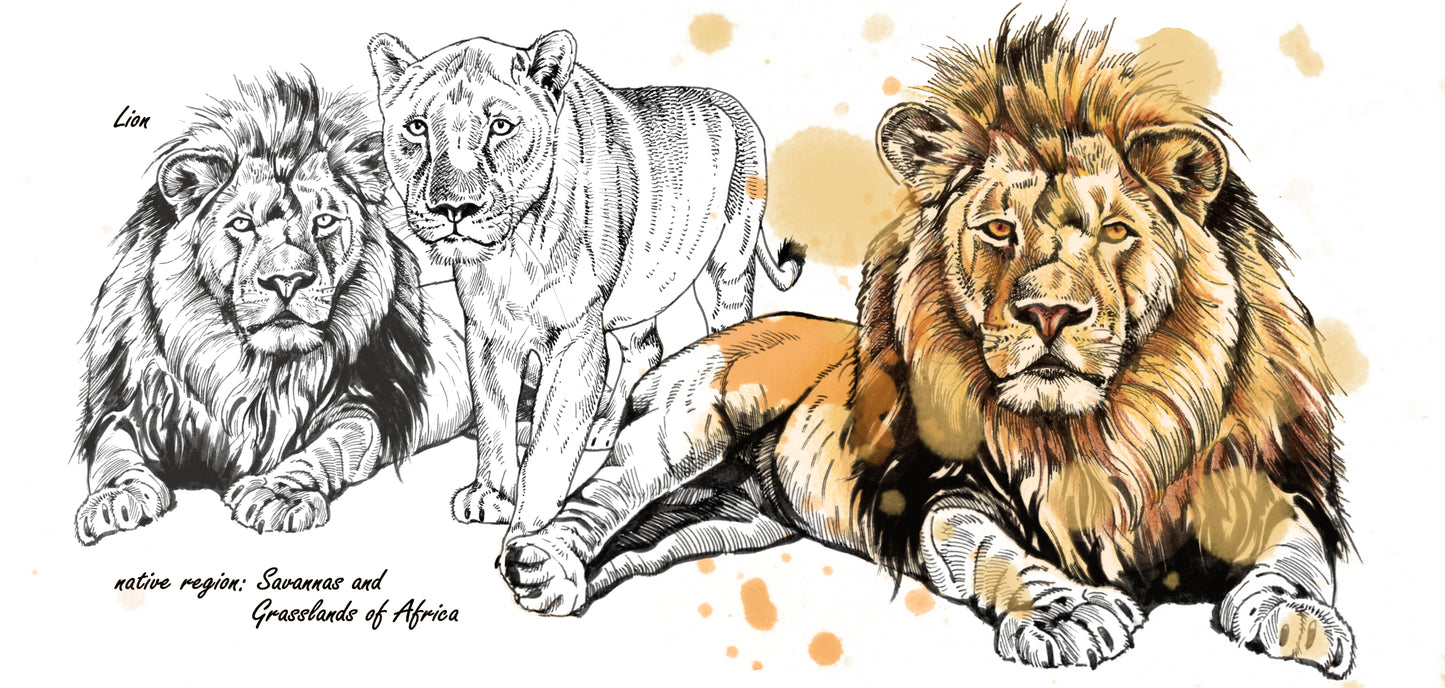 Tassenserie Wildtiere – Löwe