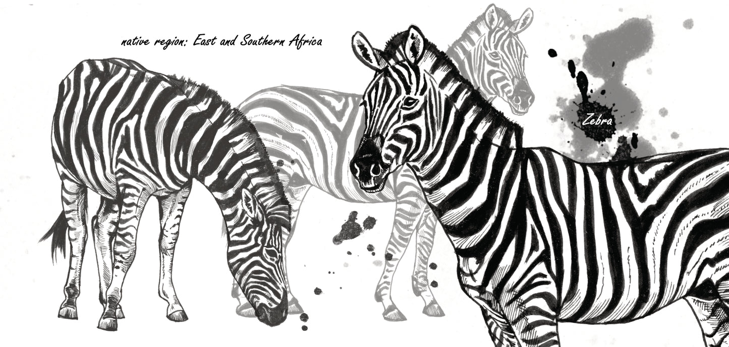 Tassenserie Wildtiere – Zebra