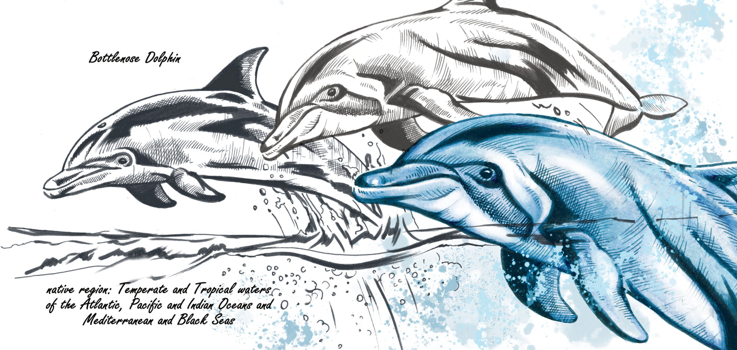 Tassenserie Wildtiere – Delfin