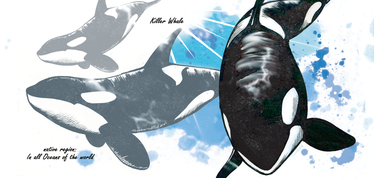 Tassenserie Wildtiere – Orca