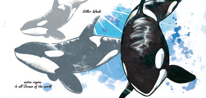Tassenserie Wildtiere – Orca