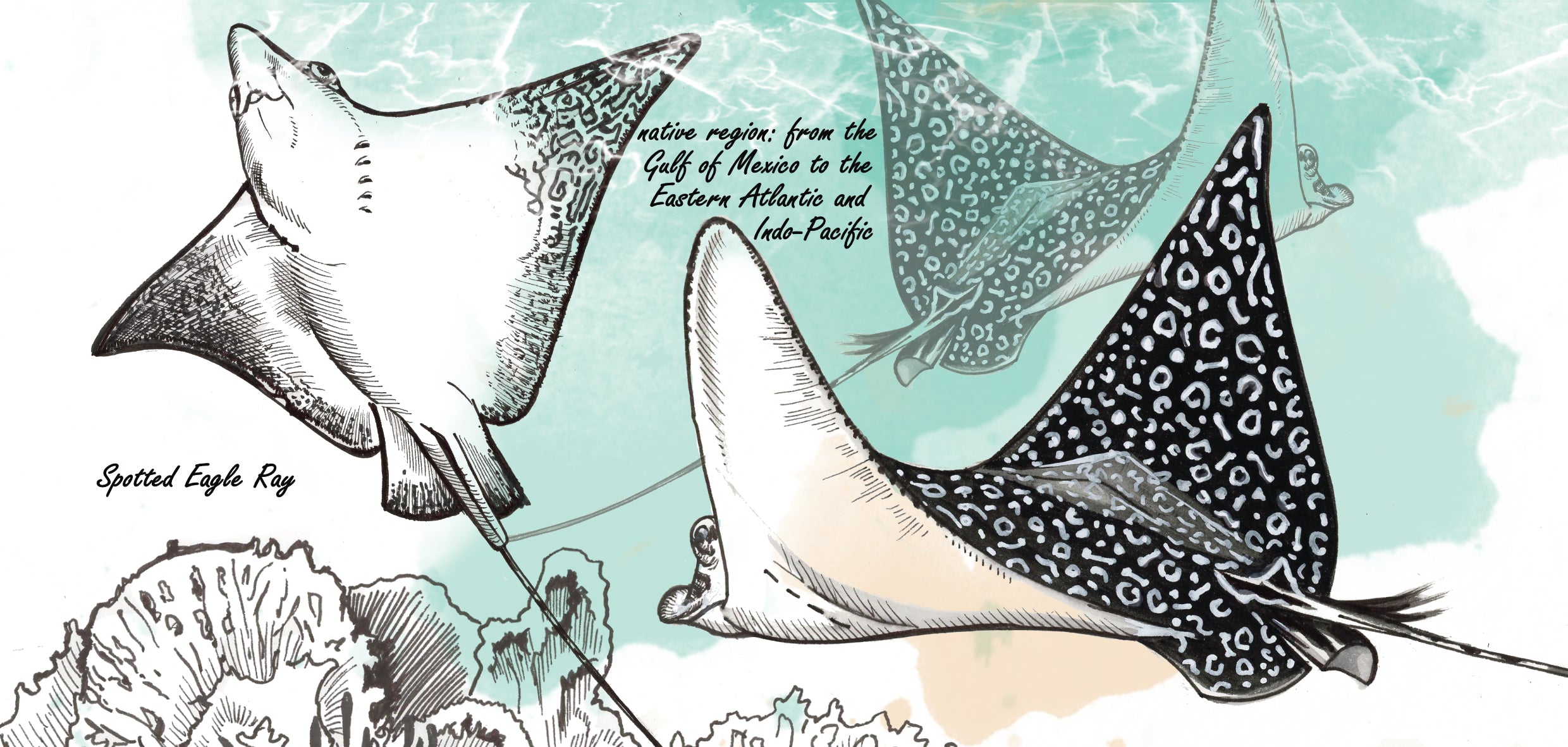 Mokkenserie Wildlife - Rog