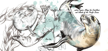 Tassenserie Wildtiere – Seelöwe