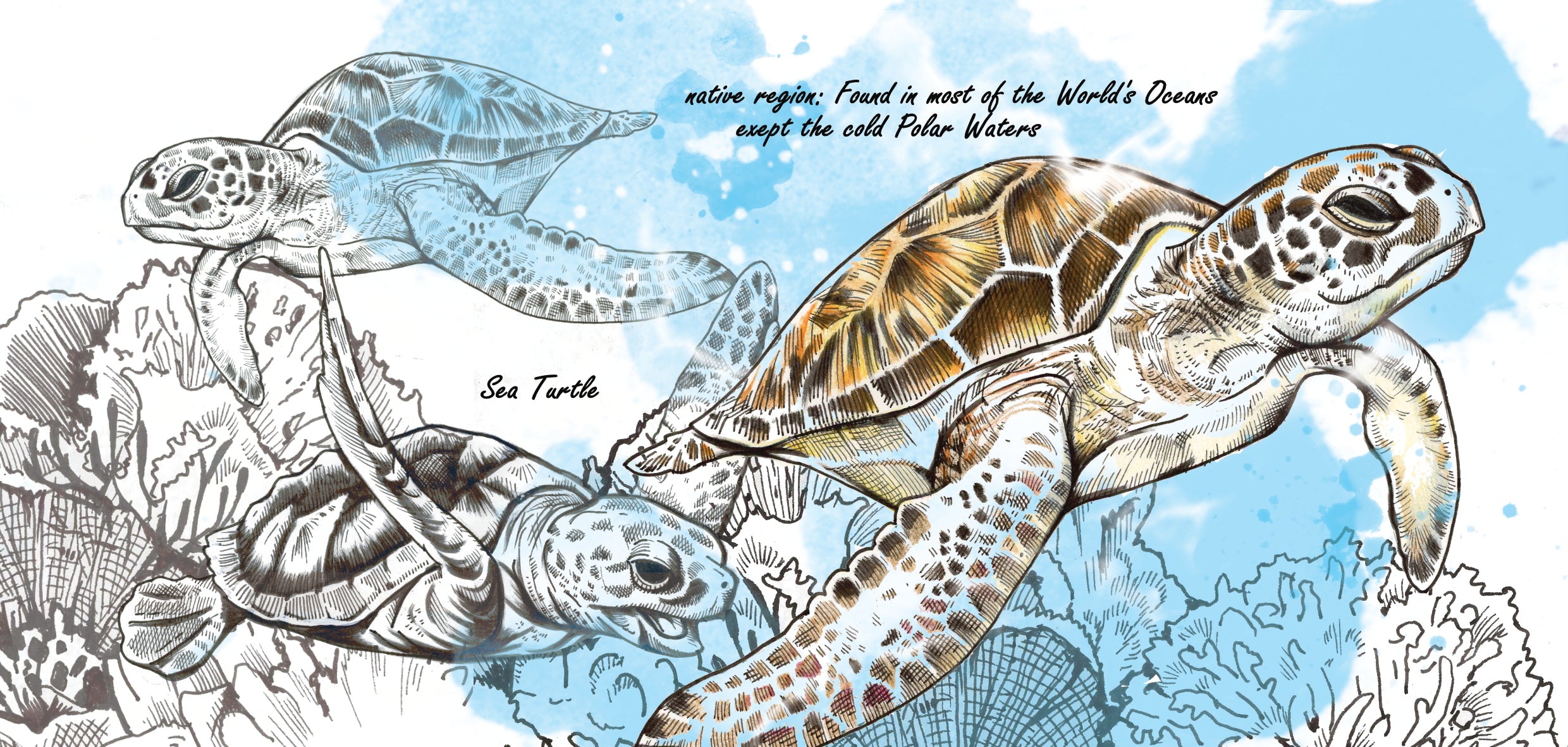 Tassenserie „Wildtiere“ – Meeresschildkröte