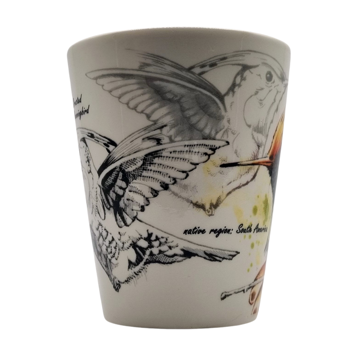 Tassenserie Wildtiere – Kolibri