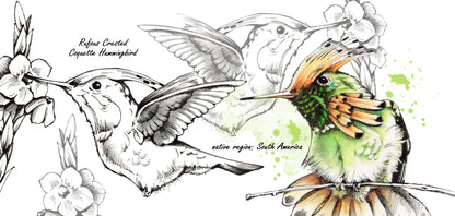 Mokkenserie Wildlife - Kolibri