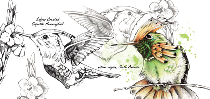 Tassenserie Wildtiere – Kolibri
