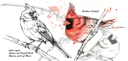 Mokkenserie Wildlife - Rode Kardinaal