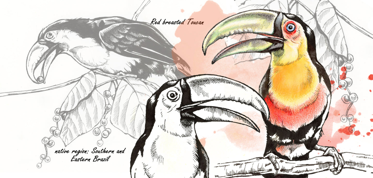 Mug series Wildlife - Toucan