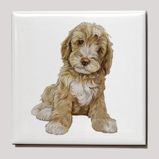 Koelkastmagneet - Labradoodle