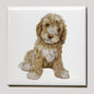 Koelkastmagneet - Labradoodle