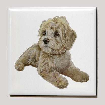 Koelkastmagneet - Labradoodle 2/Boomer2