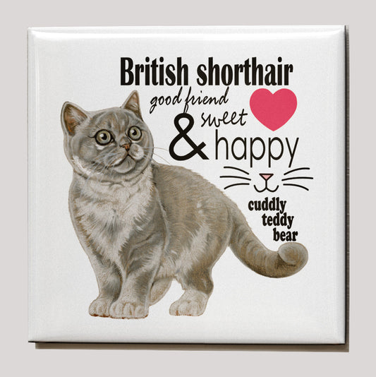 Kühlschrankmagnet – Britisch Kurzhaar Katze mit Text