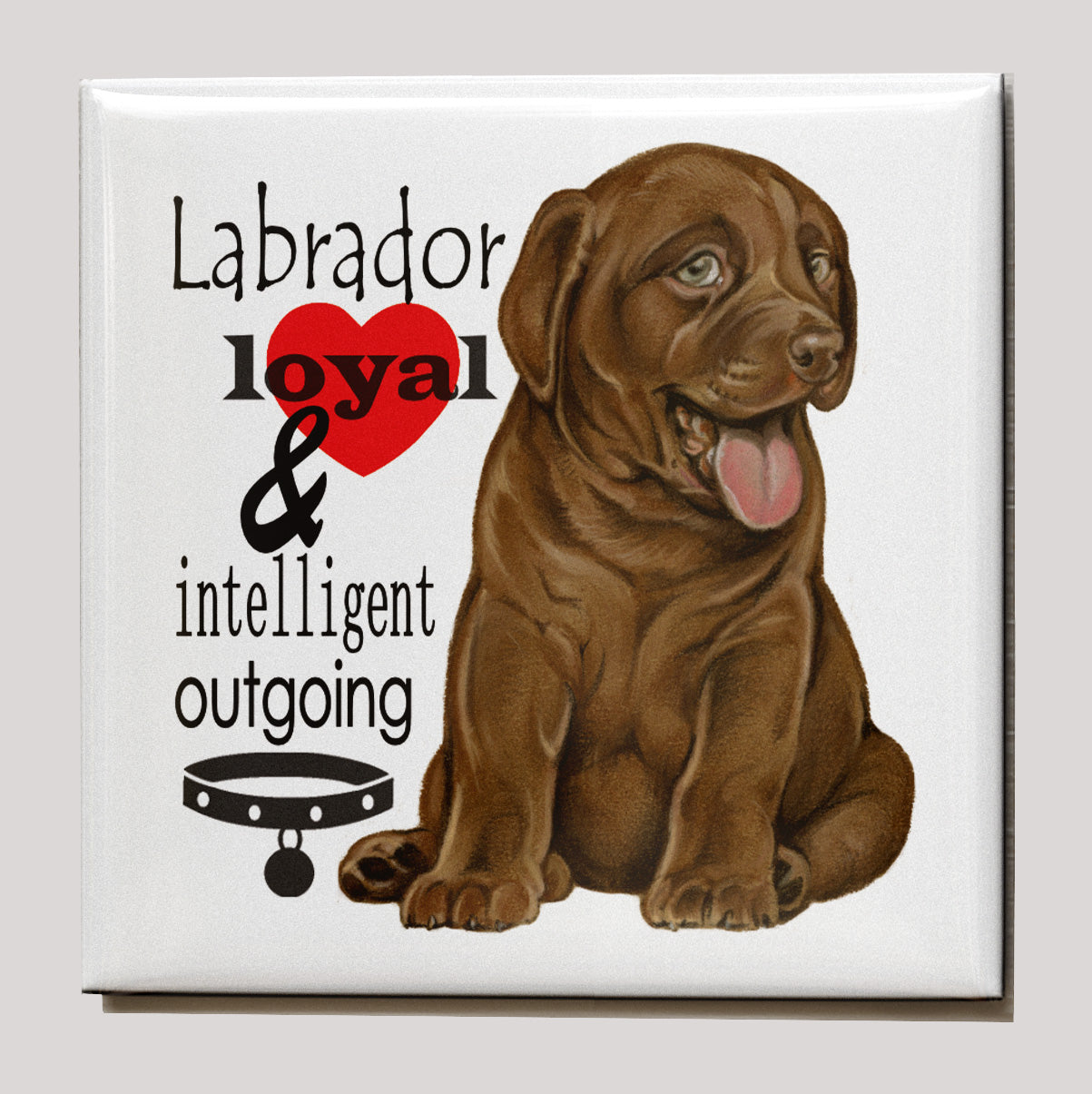 Koelkastmagneet - Bruine Labrador met tekst